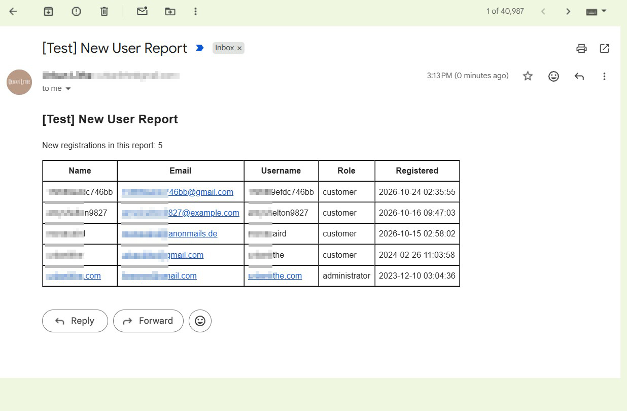 New User Report 4